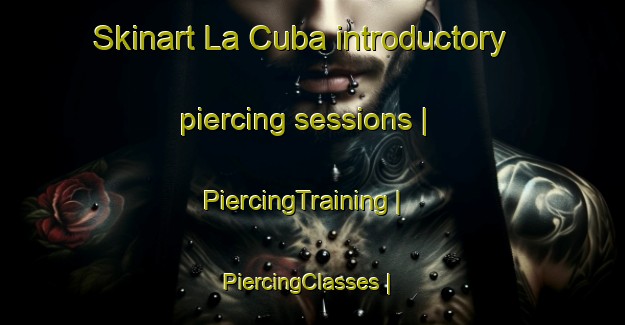 Skinart La Cuba introductory piercing sessions | PiercingTraining | PiercingClasses | SkinartTraining-Mexico
